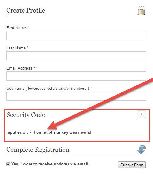 input error- k- format of site key was invalid