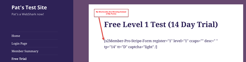 my-shortcodes-are-showing